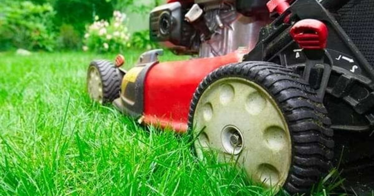 Safety Training Tips for Home and Work HSI