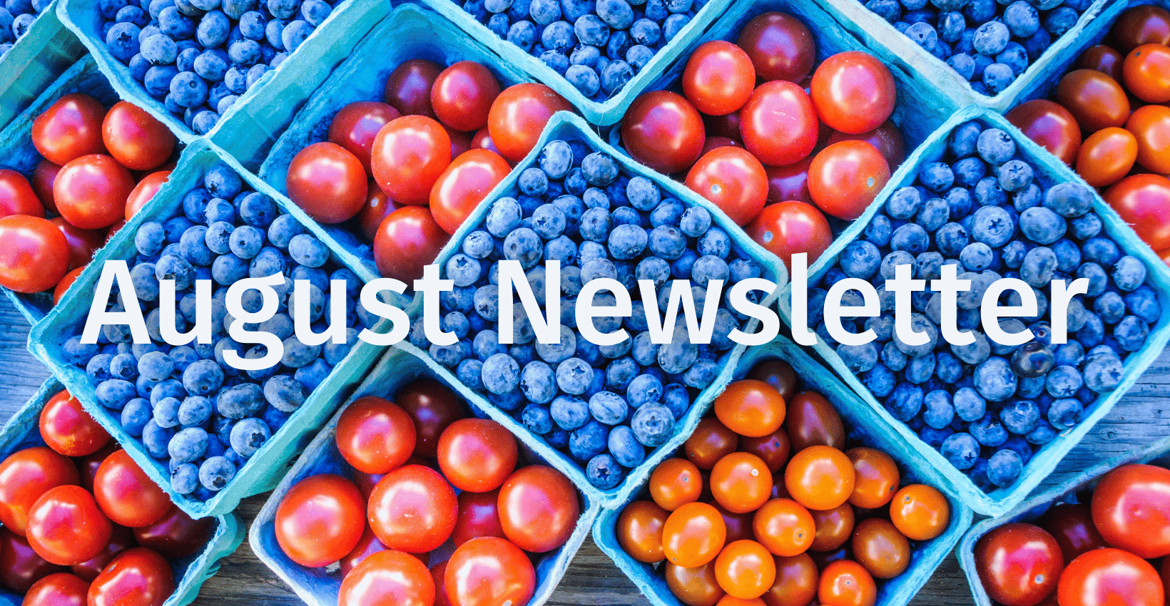 HSI August 2026 Newsletter