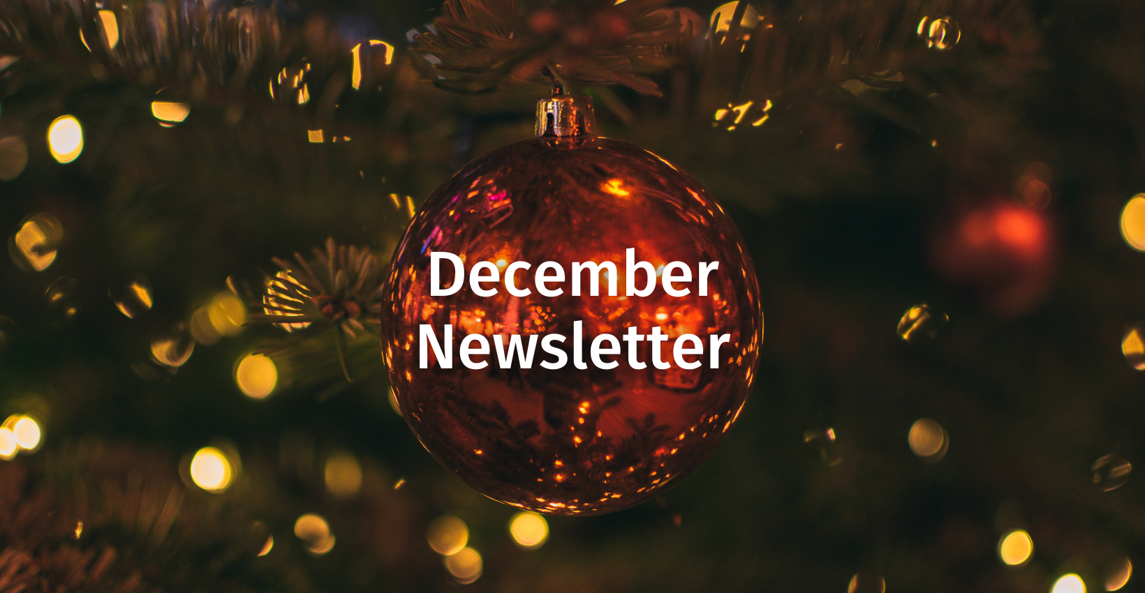 HSI December Newsletter