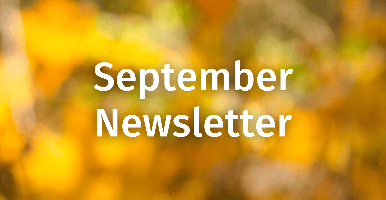 HSI September 2026 Newsletter
