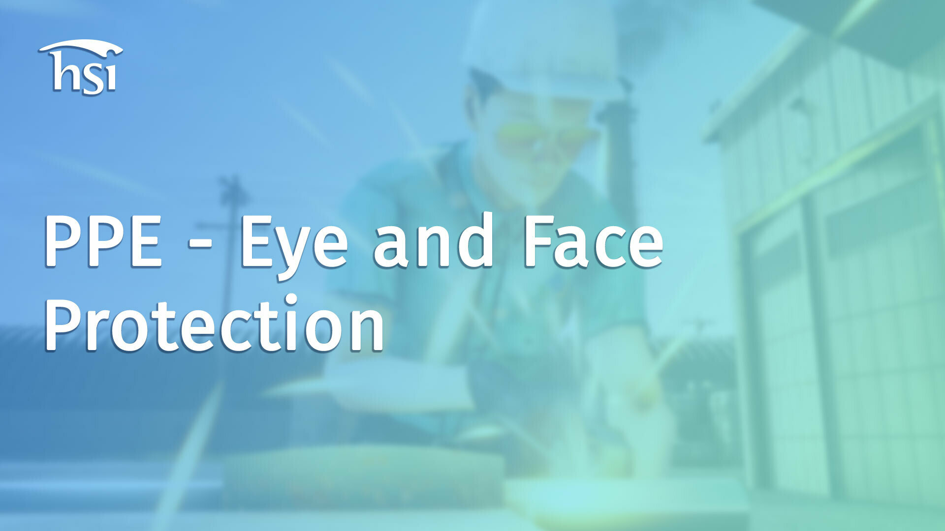 PPE Eye and Face Protection HSI
