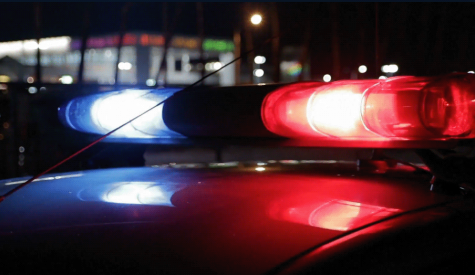 Active Shooter Response