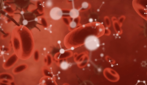 Bloodborne Pathogens Protection (BBP)