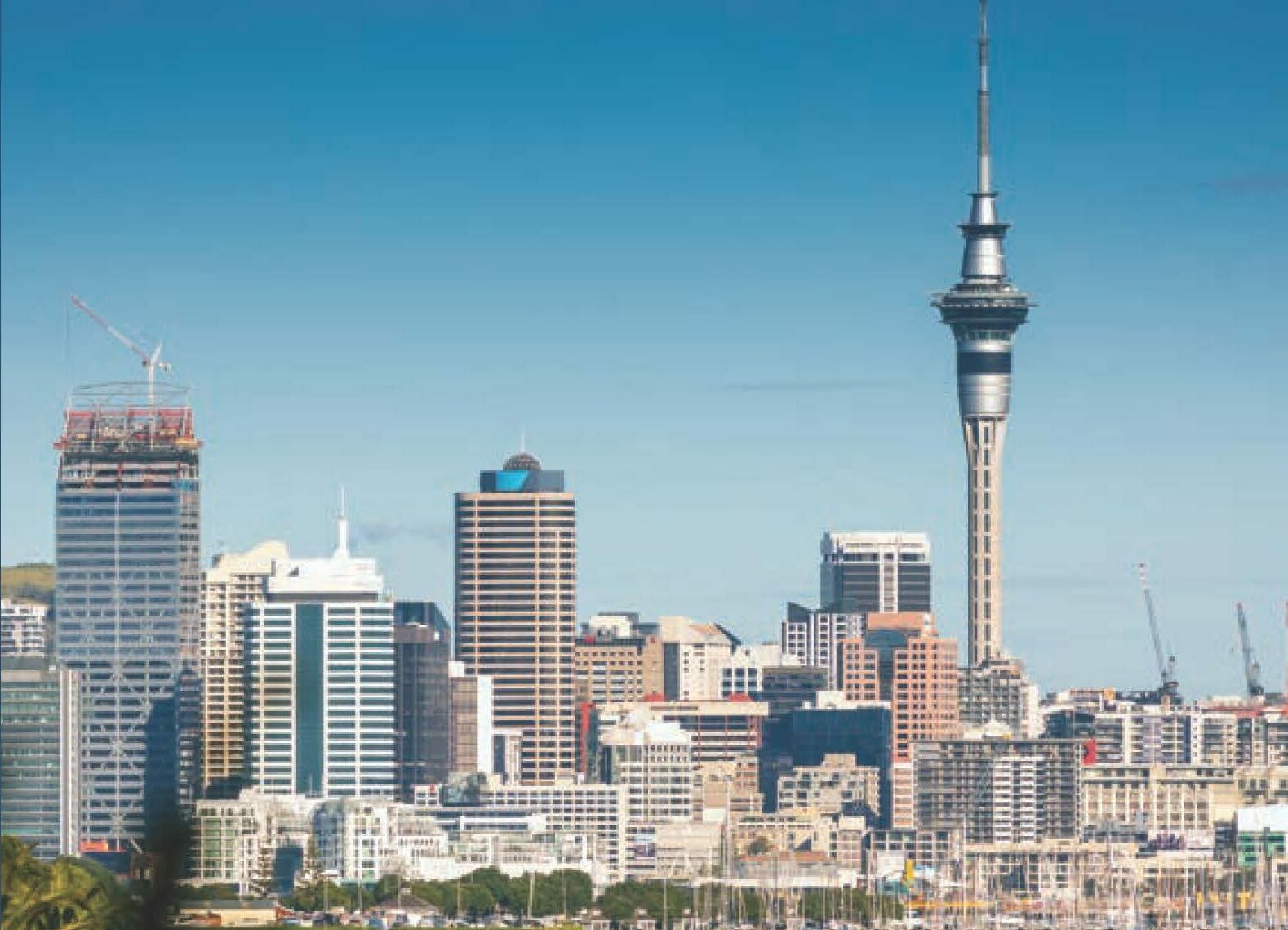 HSI in Auckland New Zealand HSI in Auckland New Zealand