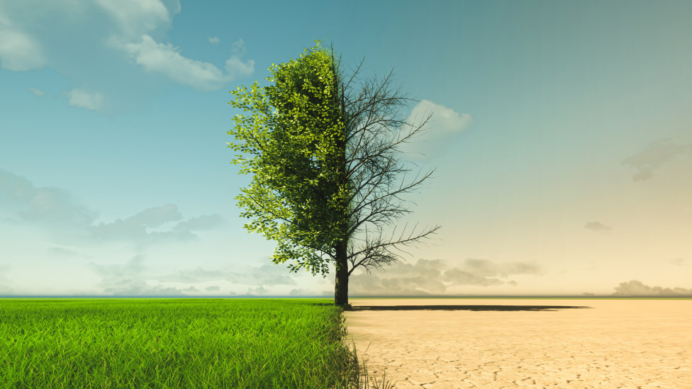 Change Management Models: 03. The ADKAR Change Management Model