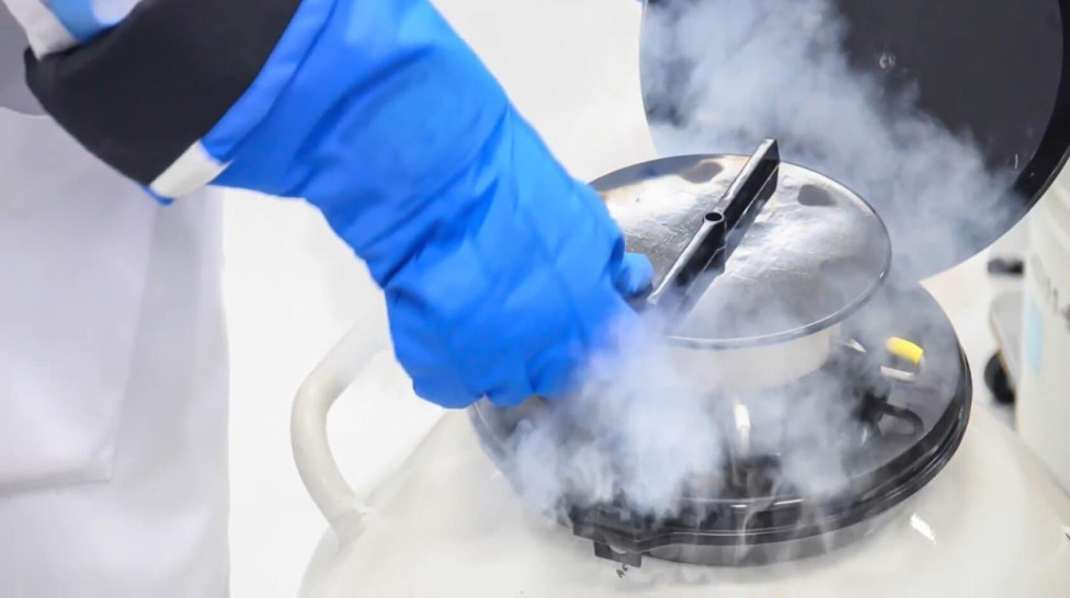 Cryogenic Safety (UNV-32.2) Cryogenic Safety (UNV-32.2)