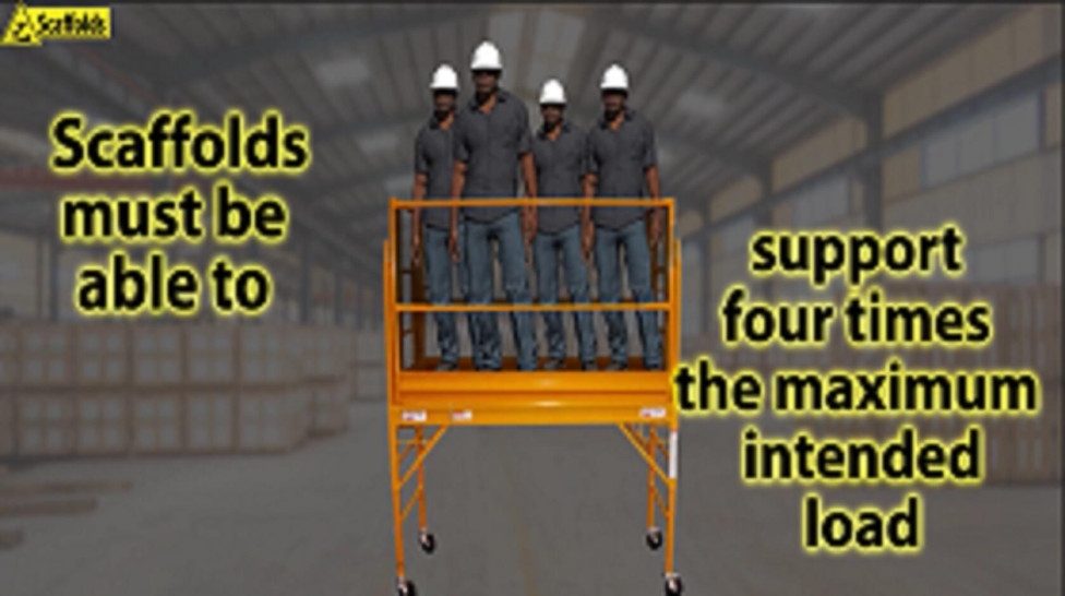 Slips/Trips/Falls: Elevated Surfaces (SNP-43.2)