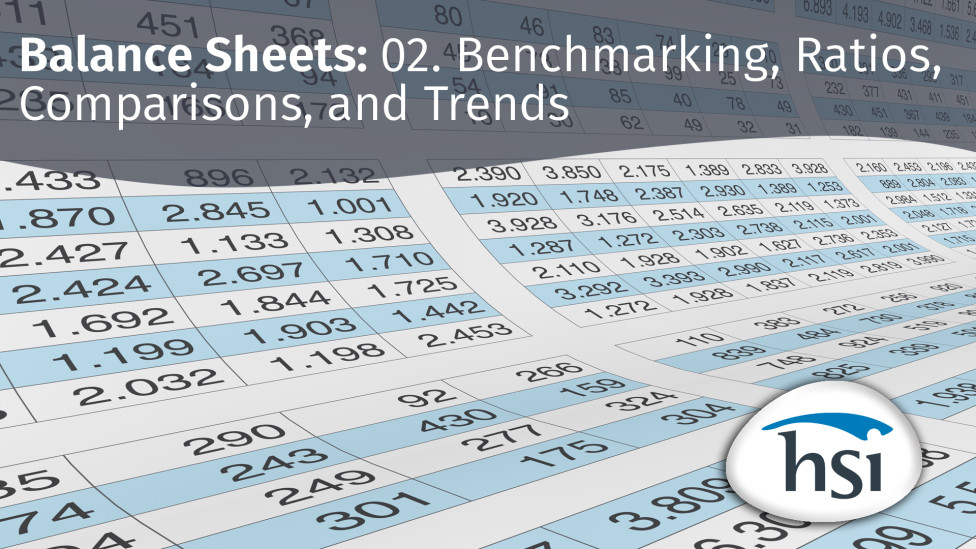 Balance Sheets: 02. Benchmarking, Ratios, Comparisons, and Trends - HSI