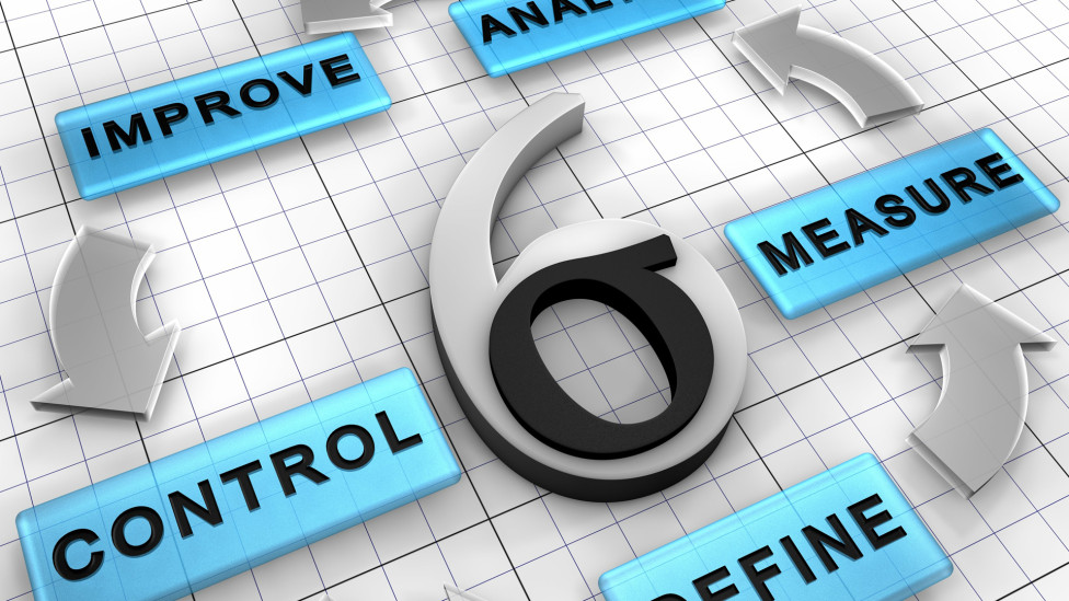 Six Sigma: Six Sigma Basics