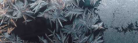 HSI January Newsletter HSI January Newsletter