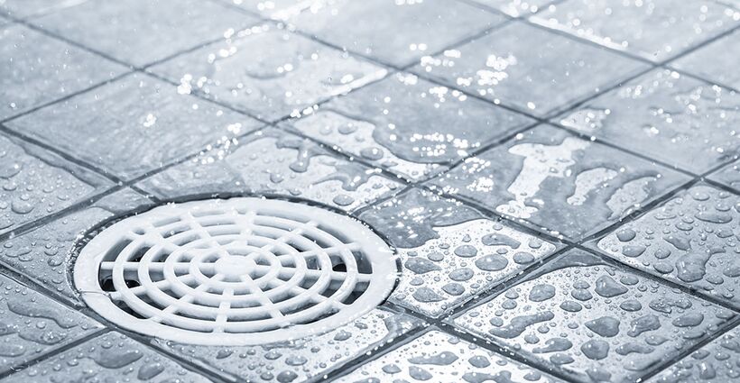 Floor and Drain Cleaning in Food Manufacturing Floor and Drain Cleaning in Food Manufacturing