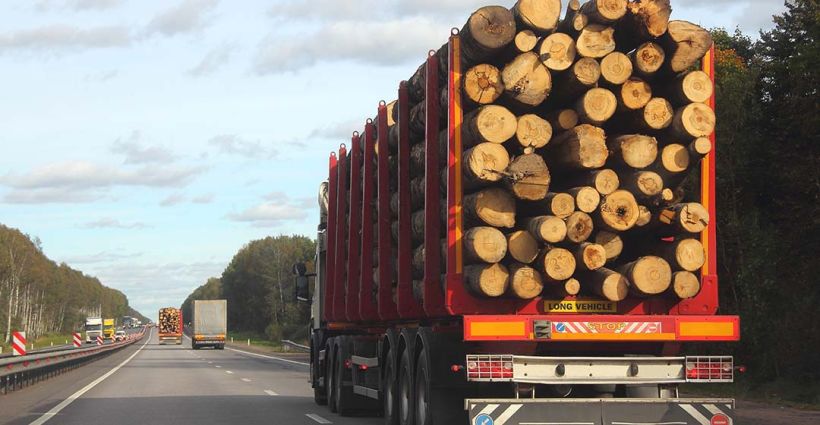 Guidelines for Securing Vehicle Loads and Cargo