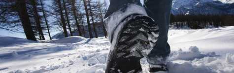 Slips, Trips and Falls: Winter Edition 滑倒,旅行和秋天:冬季版