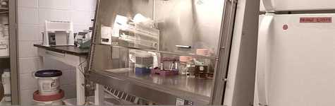 Bio Safety Cabinet Bio Safety Cabinet